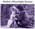 Thumbnail of Akaba's Moonlight Sonata