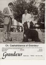 Thumbnail of Cashahblanca of Grandeur
