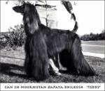Thumbnail of Moornistan Zapata Dhilkush