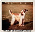Thumbnail of Mazari Of Carloway