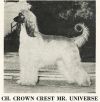 Thumbnail of Crown Crest Mr Universe
