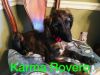 Thumbnail of Av Du Trone Karma Rovero
