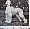 Thumbnail of Autumn Storm Warning