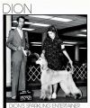 Thumbnail of Dion's Sparkling Entertainer