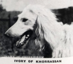 Thumbnail of Ivory Of Khorrassan