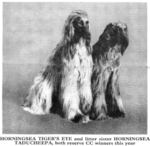 Thumbnail of Horningsea Taducheepa