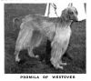 Thumbnail of Promila Of Westover