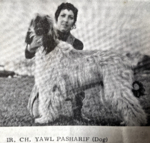 Thumbnail of Yawl Pasharif