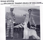 Thumbnail of Thaon's Zelica Of Sha Zahn